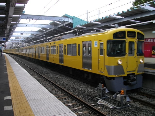 IMGP2529