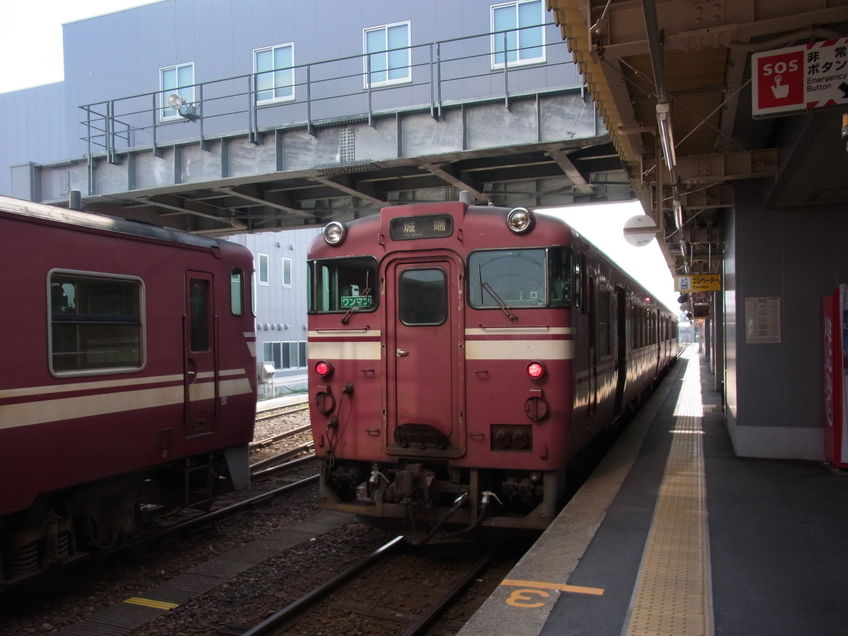 RIMG0250